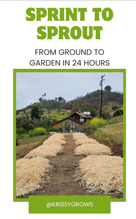 From Ground To Garden in 24 Hours