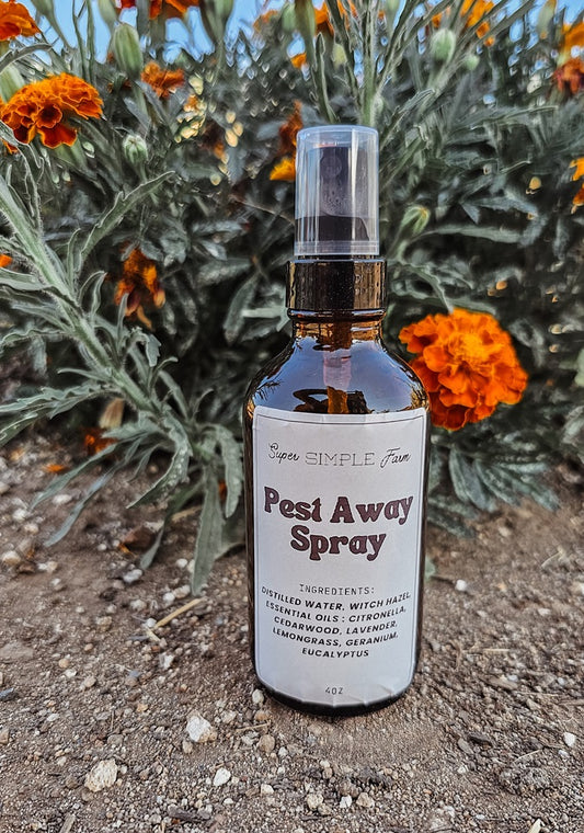 Make Your Own 'Pest Away Spray': A DIY Bug Repellent Recipe