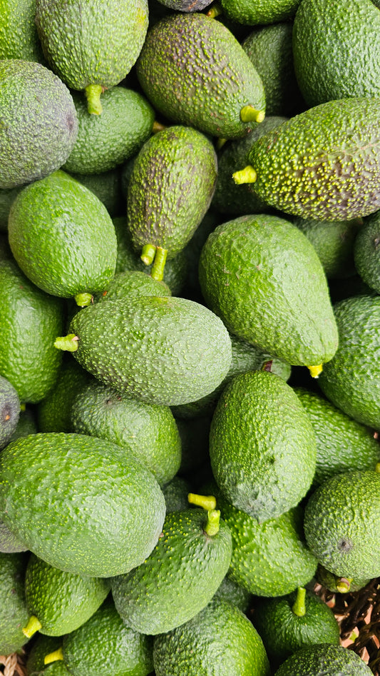 2025 Avocado Box